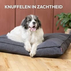 Snoozle Orthopedische Hondenmand - Zacht En Luxe Hondenkussen - Hondenbed - Wasbaar - Hondenmanden - 100 X 70 Cm - Stormy Grey -Dieren Product Winkel 1200x1200 3565