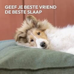 Snoozle Orthopedische Hondenmand - Zacht En Luxe Hondenkussen - Hondenbed - Wasbaar - Hondenmanden - 100 X 70 Cm - Stormy Grey -Dieren Product Winkel 1200x1200 3566