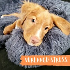 Origineel Hondendeken Voor Bank– Hondenkleed Fluffy – Pluche Hondenbed - Hondenmand Premium - Volledig Afritsbaar 24 Origineel Hondendeken Voor Bank– Hondenkleed Fluffy – Pluche Hondenbed - Hondenmand Premium - Volledig Afritsbaar -Dieren Product Winkel 1200x1200 3586