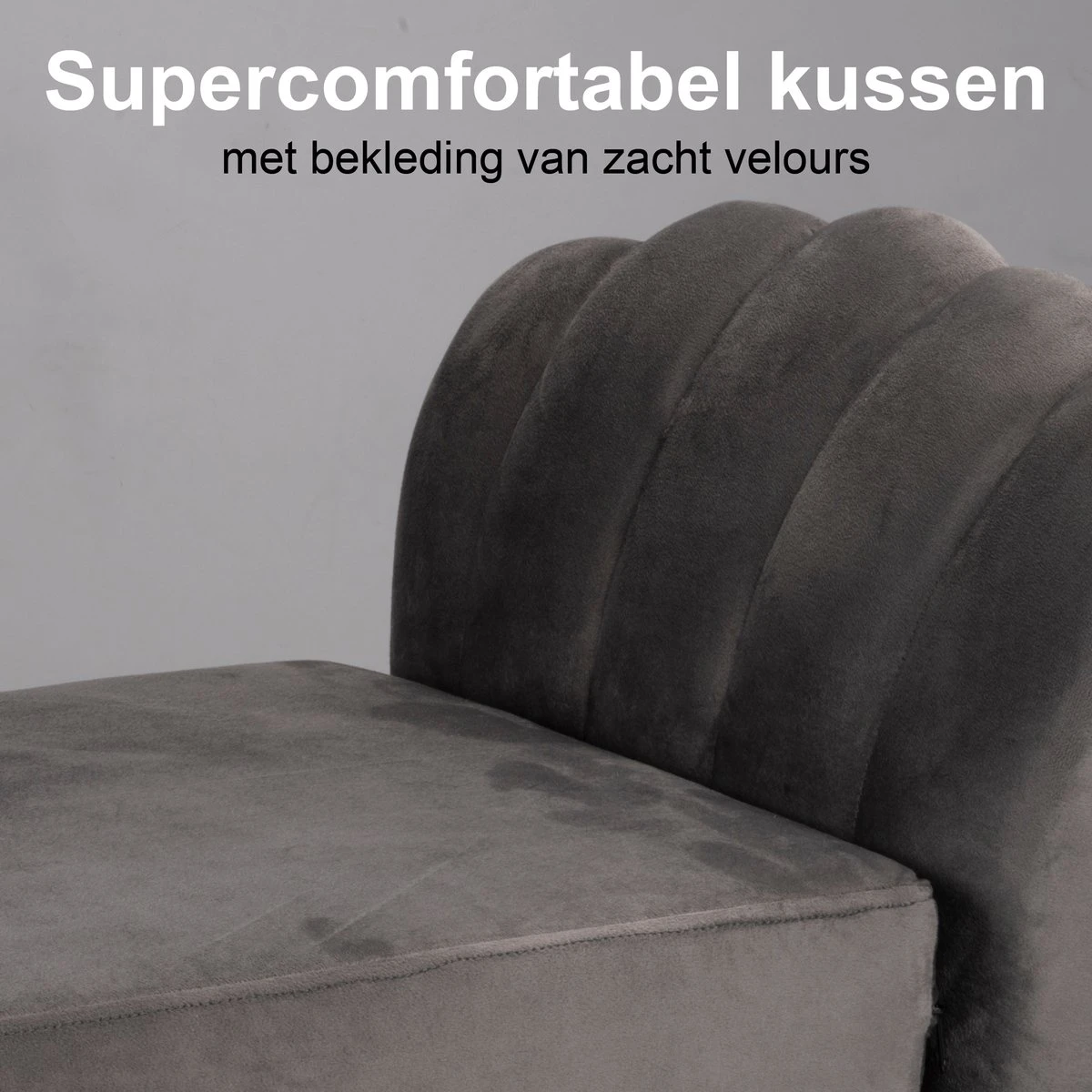 Maxxpro Katten- En Hondenbank - Grijs - Verhoogd Met Houten Poten - Fluweel Materiaal - 90 X 44 X 34 Cm - Huisdieren Tot 80 KG 2 Maxxpro Katten- En Hondenbank - Grijs - Verhoogd Met Houten Poten - Fluweel Materiaal - 90 X 44 X 34 Cm - Huisdieren Tot 80 KG - Afbeelding 2