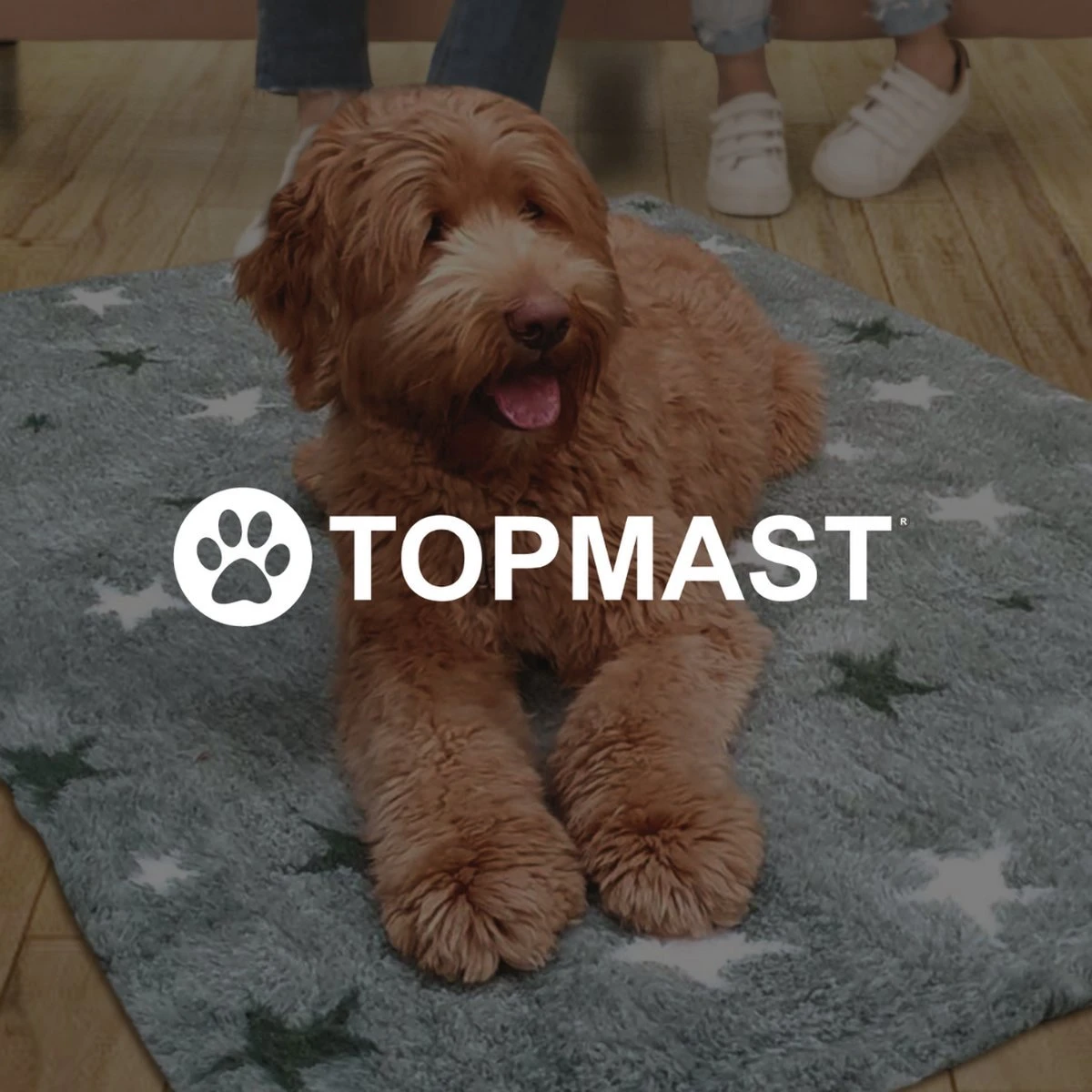 Vetbed Effen Lichtbruin - Antislip Hondenmat - 100 X 75 Cm - Benchmat - Hondenkleed - Voor Honden - Machine Wasbaar 2 Vetbed Effen Lichtbruin - Antislip Hondenmat - 100 X 75 Cm - Benchmat - Hondenkleed - Voor Honden - Machine Wasbaar - Afbeelding 2