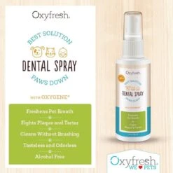 OxyFresh Pet Mondspray Voor Hond En Kat Tegen Slechte Adem En Tandsteen 7 OxyFresh Pet Mondspray Voor Hond En Kat Tegen Slechte Adem En Tandsteen -Dieren Product Winkel 1200x1200 3685