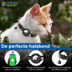 Airtag Halsband Kat - Apple Airtag Kat- & Hond - Airtag Katten Halsband - 5 Cm T/m 35 Cm - Reflecterend & Comfortabel | Apple Airtag Niet Inbegrepen! 10 Airtag Halsband Kat - Apple Airtag Kat- & Hond - Airtag Katten Halsband - 5 Cm T/m 35 Cm - Reflecterend & Comfortabel | Apple Airtag Niet Inbegrepen! -Dieren Product Winkel 1200x1200 3698