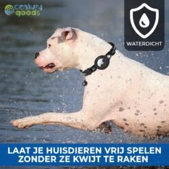 Airtag Halsband Kat - Apple Airtag Kat- & Hond - Airtag Katten Halsband - 5 Cm T/m 35 Cm - Reflecterend & Comfortabel | Apple Airtag Niet Inbegrepen! 12 Airtag Halsband Kat - Apple Airtag Kat- & Hond - Airtag Katten Halsband - 5 Cm T/m 35 Cm - Reflecterend & Comfortabel | Apple Airtag Niet Inbegrepen! -Dieren Product Winkel 1200x1200 3700