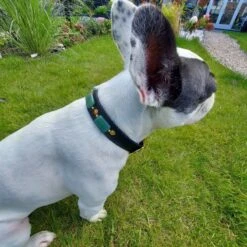 Merkloos Hondenhalsband Met Edelstenen - Avonturijn - Maat L - Kalmerend - Leer - Luxe Band 17 Merkloos Hondenhalsband Met Edelstenen - Avonturijn - Maat L - Kalmerend - Leer - Luxe Band -Dieren Product Winkel 1200x1200 3709