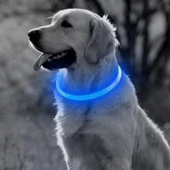 Blauwe LED Halsband Voor Hond Small / Blauw Verlichte Halsband Hond / Lichtgevende Halsband Hond / Diverse Formaten Beschikaar! Oplaadbaar Via USB / USB Halsband LED