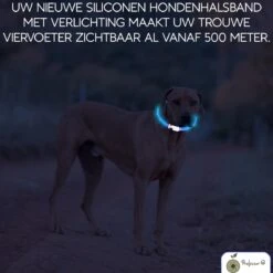 Blauwe LED Halsband Voor Hond Small / Blauw Verlichte Halsband Hond / Lichtgevende Halsband Hond / Diverse Formaten Beschikaar! Oplaadbaar Via USB / USB Halsband LED -Dieren Product Winkel 1200x1200 3715