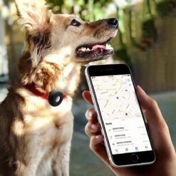 SunnyPets Halsband Airtag Houder - Hond En Kat Huisdieren Siliconen Halsband Bescherm Hoesje - Geschikt Voor Apple Airtag - Hondenhalsband - Geschikt Voor Koffer - Tracking - Zwart -Dieren Product Winkel 1200x1200 3718