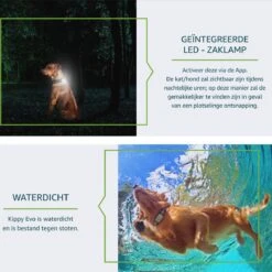 Kippy GPS Tracker Kat - GPS Tracker Hond - Activiteitentracker - Geel - Waterdicht - 10 Dagen Batterij - LED-Zaklamp -Dieren Product Winkel 1200x1200 3731