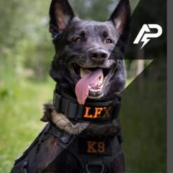 Halsband Gepersonaliseerd Eigen Naam - Honden Halsband Geborduurd - Tactical - Zwart - Hals 35-75 CM