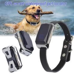 PuroTech - GPS Tracker Voor Hond En Kat - Halsband GPS - IP67 Waterdicht - Halsband Huisdier - Volgsysteem - Verbeterde Accuduur -Dieren Product Winkel 1200x1200 3755