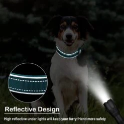 Merkloos Halsband Voor Honden - Geschikt Voor Apple Airtag - GPS Voor Honden - Lederen - Maat S M - Zwart - Reflecterend - Tracker -Dieren Product Winkel 1200x1200 3760