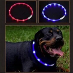 Merkloos Lichtgevende Honden Halsband Met Licht - LED Halsband USB Oplaadbaar - 50 Cm - Rood -Dieren Product Winkel 1200x1200 3779