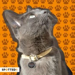 Spotted! Pro Smart Pet Tag – Hondenpenning En Kattenpenning – QR Code – NFC Chip – Small - Ø2.4cm - Zilver -Dieren Product Winkel 1200x1200 3787