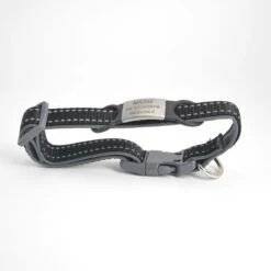 Hondenpenning - ID Penning - ZWART - RVS GROOT Inclusief Graveren -Dieren Product Winkel 1200x1200 3790