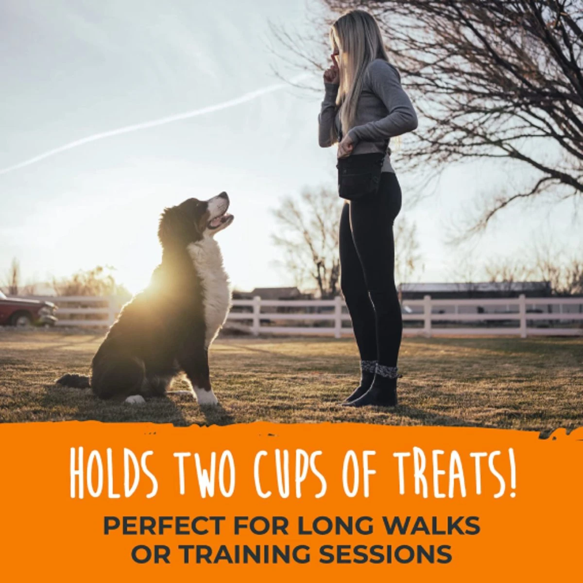 BOTC Honden Beloning Tasje – Beloningstasje - Honden Snoepjes – Beloningszakje - Zwart 6 BOTC Honden Beloning Tasje – Beloningstasje - Honden Snoepjes – Beloningszakje - Zwart - Afbeelding 6