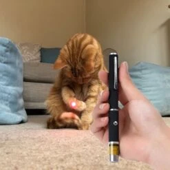 Katten Laser - Dierenwinkel Nederland -Dieren Product Winkel 1200x1200 382