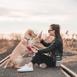 Malony Beloningstasje Voor Honden - Beloningszakje - Poepzakjes Dispenser - Verstelbare Riem - Nylon - Zwart 23 Malony Beloningstasje Voor Honden - Beloningszakje - Poepzakjes Dispenser - Verstelbare Riem - Nylon - Zwart -Dieren Product Winkel 1200x1200 3821