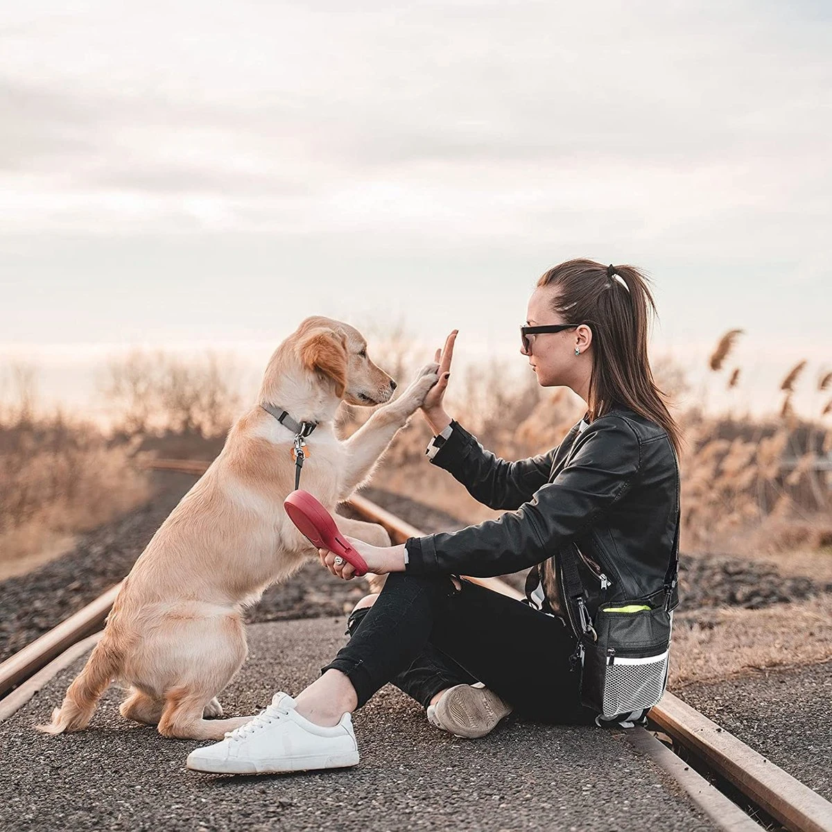 Malony Beloningstasje Voor Honden - Beloningszakje - Poepzakjes Dispenser - Verstelbare Riem - Nylon - Zwart 12 Malony Beloningstasje Voor Honden - Beloningszakje - Poepzakjes Dispenser - Verstelbare Riem - Nylon - Zwart - Afbeelding 12