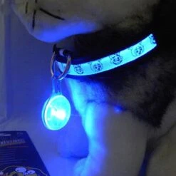 Cadellight Veiligheidslampje Voor Halsband - Dierenlampje - Blauw -Dieren Product Winkel 1200x1200 3834