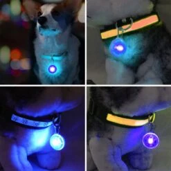 Professor Q - Verlichting Hond - Led Lampje Honden - Lampje Hondenhalsband - Honden Lampje Halsband - Hondenlampje - Blauw -Dieren Product Winkel 1200x1200 3840