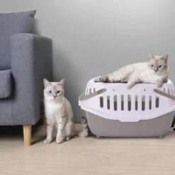 Nobleza 41WSJ - Reisbench - Reismand - Transportbox - 58 X 40 X 42.5 Cm - Grijs -Dieren Product Winkel 1200x1200 3859