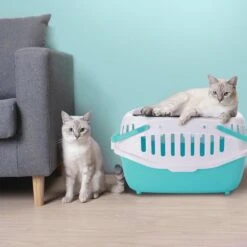 Nobleza 41WSI - Reisbench - Reismand - Transportbox - 58 X 40 X 42.5 Cm - Blauw -Dieren Product Winkel 1200x1200 3867