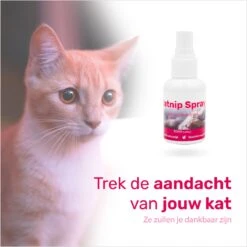 LBB - Catnip Spray 50ML - 100% Natuurlijk - CE Gekeurd - Kattenkruid Spray - Catnip Speelgoed - Valeriaan - Kat - Katten 7 LBB - Catnip Spray 50ML - 100% Natuurlijk - CE Gekeurd - Kattenkruid Spray - Catnip Speelgoed - Valeriaan - Kat - Katten -Dieren Product Winkel 1200x1200 428