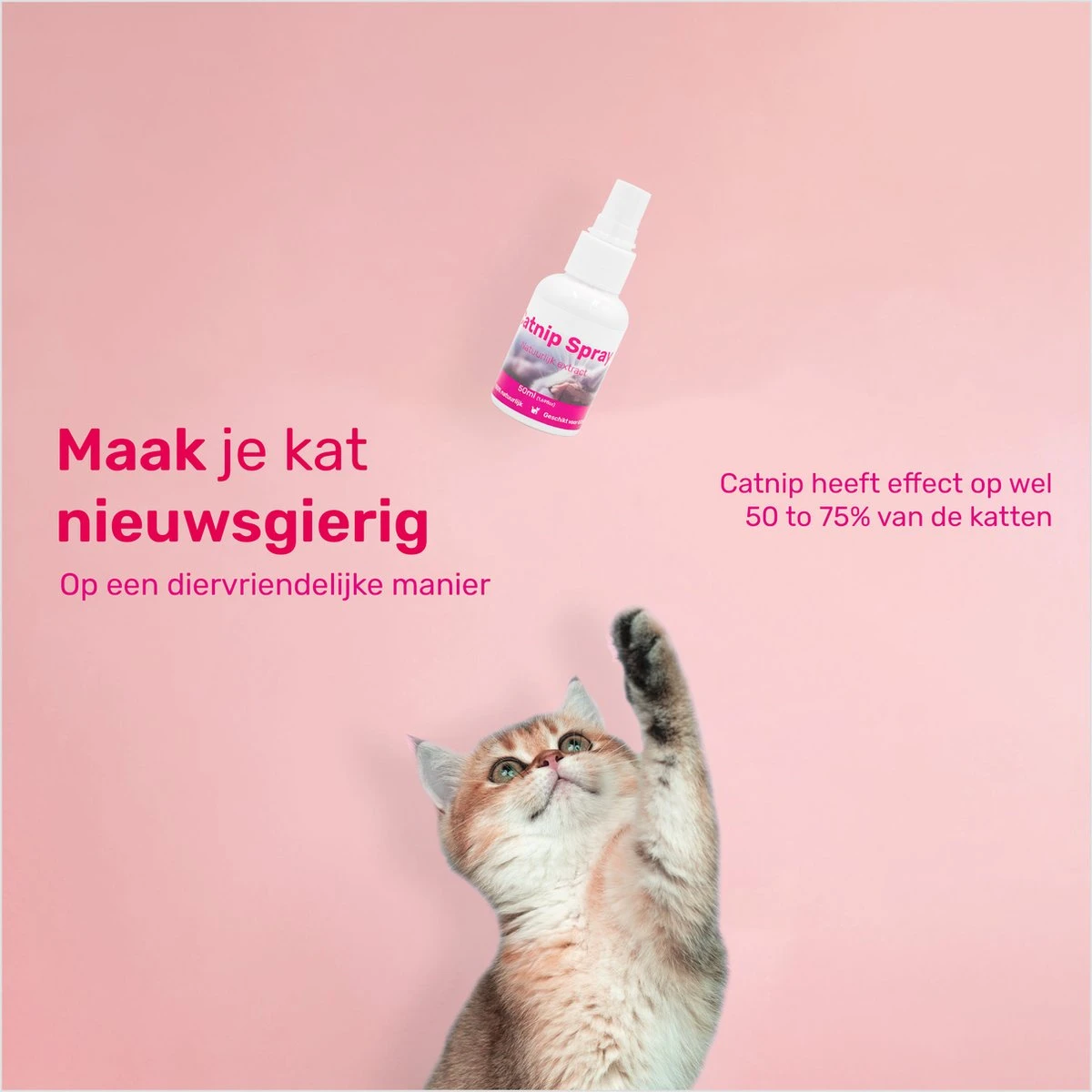 LBB - Catnip Spray 50ML - 100% Natuurlijk - CE Gekeurd - Kattenkruid Spray - Catnip Speelgoed - Valeriaan - Kat - Katten 5 LBB - Catnip Spray 50ML - 100% Natuurlijk - CE Gekeurd - Kattenkruid Spray - Catnip Speelgoed - Valeriaan - Kat - Katten - Afbeelding 5