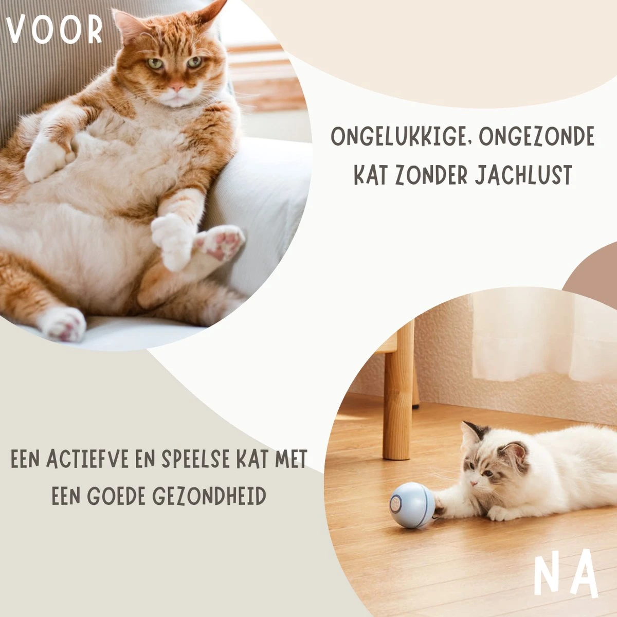 MyBuddy - Interactieve Zelf Rollende Bal - Kattenspeeltjes - Kattenspeelgoed - Bal Voor Katten - LED Lights - Speelgoed - USB - Roze 5 MyBuddy - Interactieve Zelf Rollende Bal - Kattenspeeltjes - Kattenspeelgoed - Bal Voor Katten - LED Lights - Speelgoed - USB - Roze - Afbeelding 5