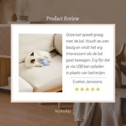 MyBuddy - Interactieve Zelf Rollende Bal - Kattenspeeltjes - Kattenspeelgoed - Bal Voor Katten - LED Lights - Speelgoed - USB - Roze 15 MyBuddy - Interactieve Zelf Rollende Bal - Kattenspeeltjes - Kattenspeelgoed - Bal Voor Katten - LED Lights - Speelgoed - USB - Roze -Dieren Product Winkel 1200x1200 435