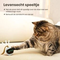 Otiume Slimme Katten Speeltje - Interactieve Zelf Rollende Bal Voor Katten - Kattenspeeltjes -Speelgoed Voor Dieren - USB Oplaadbaar 12 Otiume Slimme Katten Speeltje - Interactieve Zelf Rollende Bal Voor Katten - Kattenspeeltjes -Speelgoed Voor Dieren - USB Oplaadbaar -Dieren Product Winkel 1200x1200 439