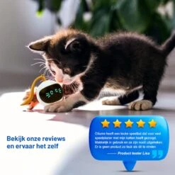 Otiume Slimme Katten Speeltje - Interactieve Zelf Rollende Bal Voor Katten - Kattenspeeltjes -Speelgoed Voor Dieren - USB Oplaadbaar 14 Otiume Slimme Katten Speeltje - Interactieve Zelf Rollende Bal Voor Katten - Kattenspeeltjes -Speelgoed Voor Dieren - USB Oplaadbaar -Dieren Product Winkel 1200x1200 441
