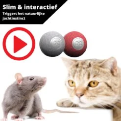 Cheerble Mini Ball 2.0 - Slimme Interactieve Zelf Rollende Bal Voor Katten - 3 Speelmodi - Kattenspeeltjes - USB Oplaadbaar - Rood -Dieren Product Winkel 1200x1200 443