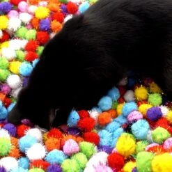 Make Me Purr Glitter Pompon Ballen (10 Stuks) - Kattenspeeltjes - Kattenspeelgoed - Speelgoed Voor Katten - Kat Speeltje Bal - Kitten Speeltjes Balletjes -Dieren Product Winkel 1200x1200 449