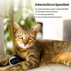 Otiume Interactieve Speelbal - Slimme Interactieve Jaag Speeltje Voor Katten - Kattenspeeltjes - Intelligente Jaagbal - AI -USB Oplaadbaar - LED - Blauw -Dieren Product Winkel 1200x1200 453