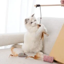 GIZMO Luxe Kattenspeeltjes Set - 7 Speeltjes - Interactieve Kattenhengel, Kattenspeelgoed & Speelmuisjes - Kitten Speeltjes -Dieren Product Winkel 1200x1200 462