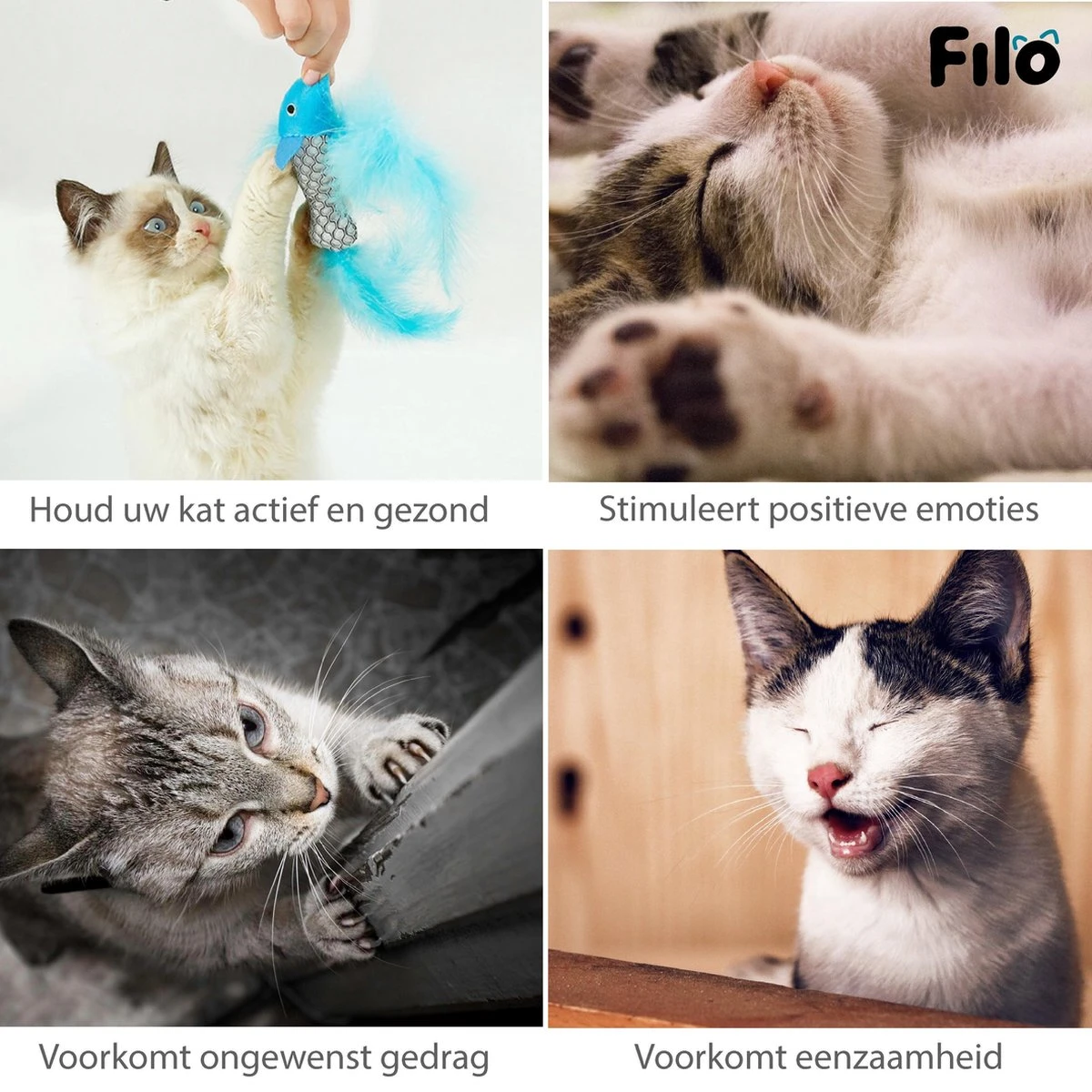 Filo Kattenhengel Set + 12 Kattenspeeltjes – Speelhengels Interactief Kattenspeelgoed – Hengel Kattenspeeltje Kittens - Speelgoed Speelhengel Vis Kat En Kitten 6 Filo Kattenhengel Set + 12 Kattenspeeltjes – Speelhengels Interactief Kattenspeelgoed – Hengel Kattenspeeltje Kittens - Speelgoed Speelhengel Vis Kat En Kitten - Afbeelding 6