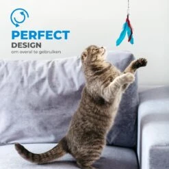 Merkloos 2 Kattenhengels Met 10 Speeltjes – Bewegende Kattenspeeltjes Met Veren En Belletjes – Interactieve Kattenspeelgoed Voor Kittens – Cat Toys 11 Merkloos 2 Kattenhengels Met 10 Speeltjes – Bewegende Kattenspeeltjes Met Veren En Belletjes – Interactieve Kattenspeelgoed Voor Kittens – Cat Toys -Dieren Product Winkel 1200x1200 472