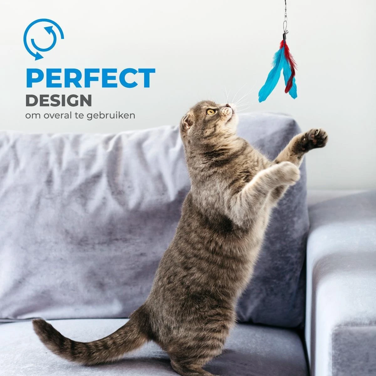 Merkloos 2 Kattenhengels Met 10 Speeltjes – Bewegende Kattenspeeltjes Met Veren En Belletjes – Interactieve Kattenspeelgoed Voor Kittens – Cat Toys 5 Merkloos 2 Kattenhengels Met 10 Speeltjes – Bewegende Kattenspeeltjes Met Veren En Belletjes – Interactieve Kattenspeelgoed Voor Kittens – Cat Toys - Afbeelding 5