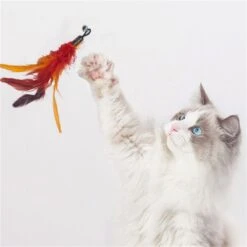 Merkloos Kattenhengel Met 10 Opzetstukjes - Kat Speelhengel Met Veren - Speelgoed Hengel Voor Katten – Kittenspeeltjes Met Veer – Kattenspeelgoed – Katten Speeltjes -Dieren Product Winkel 1200x1200 478