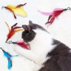 Merkloos Kattenhengel Met 10 Opzetstukjes - Kat Speelhengel Met Veren - Speelgoed Hengel Voor Katten – Kittenspeeltjes Met Veer – Kattenspeelgoed – Katten Speeltjes -Dieren Product Winkel 1200x1200 479
