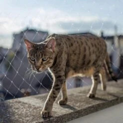 Kattennet Premium - 600 X 300 CM - Kattennet Voor Balkon - Transparant - Balkon Net - Makkelijk Te Monteren -Dieren Product Winkel 1200x1200 516