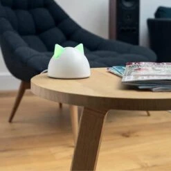 Sureflap Connect HUB -Dieren Product Winkel 1200x1200 543