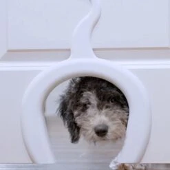 PetSafe Staywell® Cat Corridor - Kattendoorgang Voor Binnenshuis - Overschilderbaar Design - Voor Katten Tot 9 Kg - Staywell Cat Corridor -Dieren Product Winkel 1200x1200 582