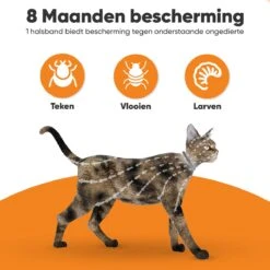 Nafurapets Vlooienband Voor Kat – Anti Vlooien – Teken Band – 100% Natuurlijk – 8 Maanden Bescherming – Grote & Kleine Kat -Dieren Product Winkel 1200x1200 61