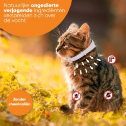 Nafurapets Vlooienband Voor Kat – Anti Vlooien – Teken Band – 100% Natuurlijk – 8 Maanden Bescherming – Grote & Kleine Kat -Dieren Product Winkel 1200x1200 65