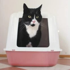 HG Tegen Kattenbakgeur - 500ml - Ongevaarlijk Voor Dier En Mens - Geurloos -Dieren Product Winkel 1200x1200 693