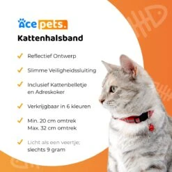 ACE Pets Reflecterende Kattenhalsband Met Veiligheidssluiting – Halsband Kat & Kitten - Met Adreskoker - Kittenhalsband & Kattenbandje Met Belletje - Zwart -Dieren Product Winkel 1200x1200 716