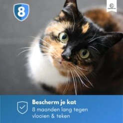 Essential Link Teken- En Vlooienband - Vlooienband Kat – Anti Vlooien – Vlooienmiddel - Tekenband - Diervriendelijk -Dieren Product Winkel 1200x1200 73